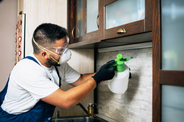 Best Wasp Removal Services  in Lawson Heights, PA