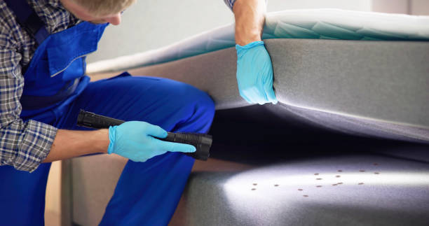 Best Affordable Pest Control Services  in Lawson Heights, PA