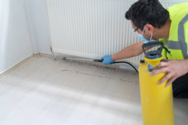 Best Local Pest Control Services  in Lawson Heights, PA